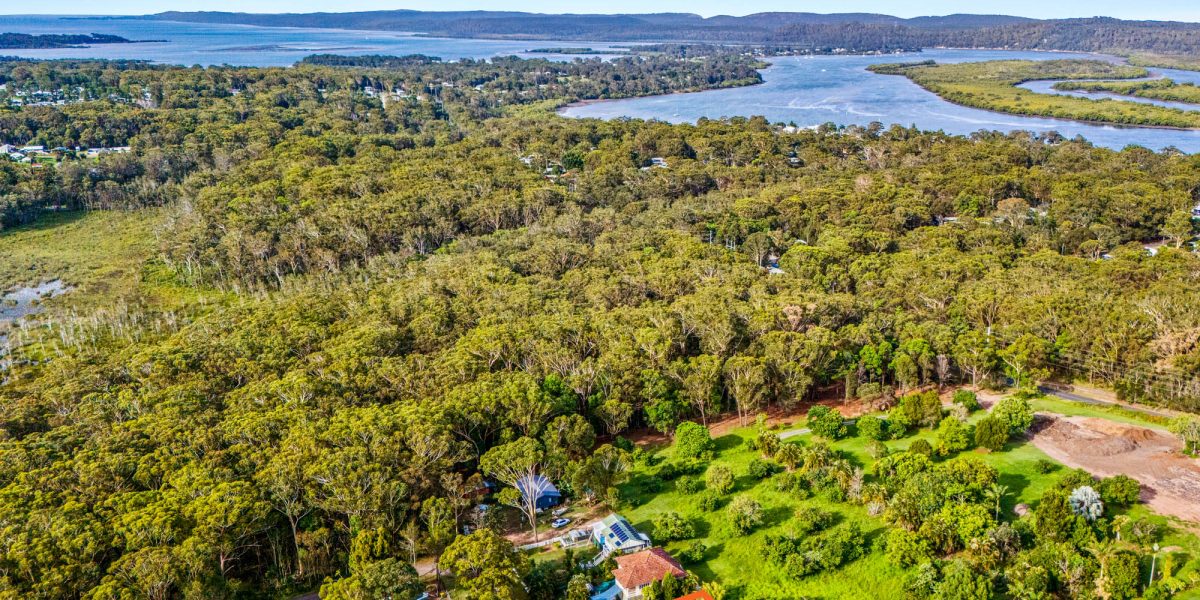 5 Acalypha Street 3 1