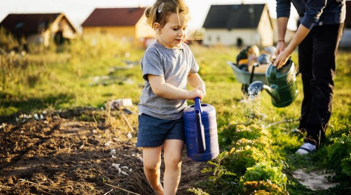 gardening