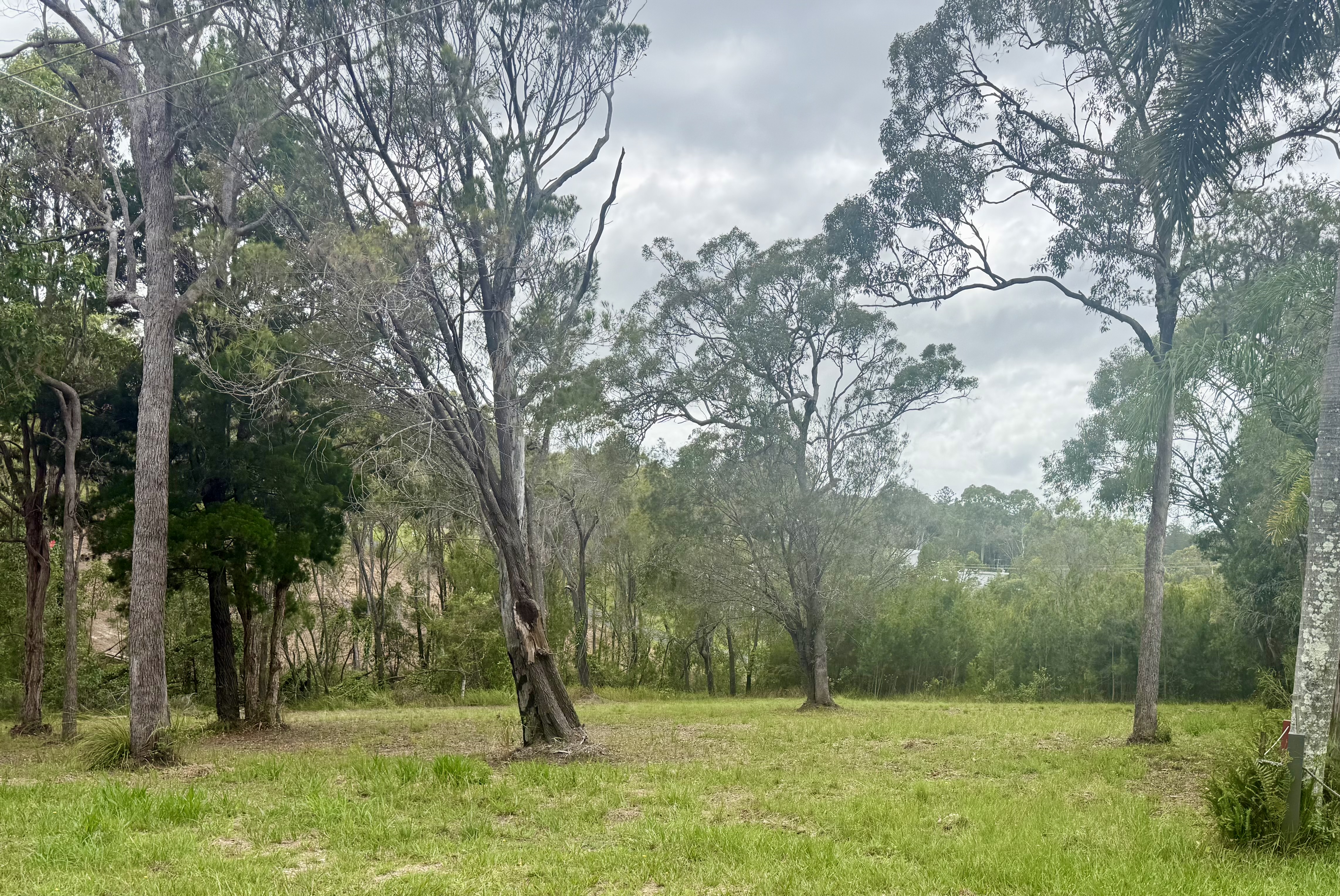 21 Cluan Street, Macleay Island 4184 QLD, Macleay Island - Image 1
